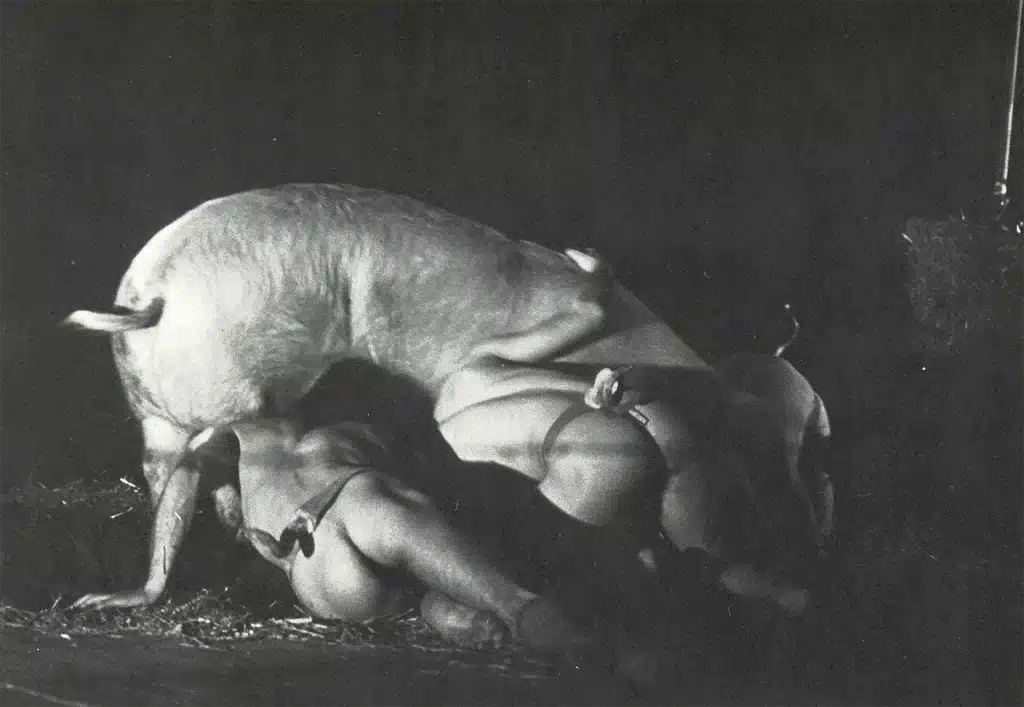 Honte à l'humanité
Photo: Georges Peltier