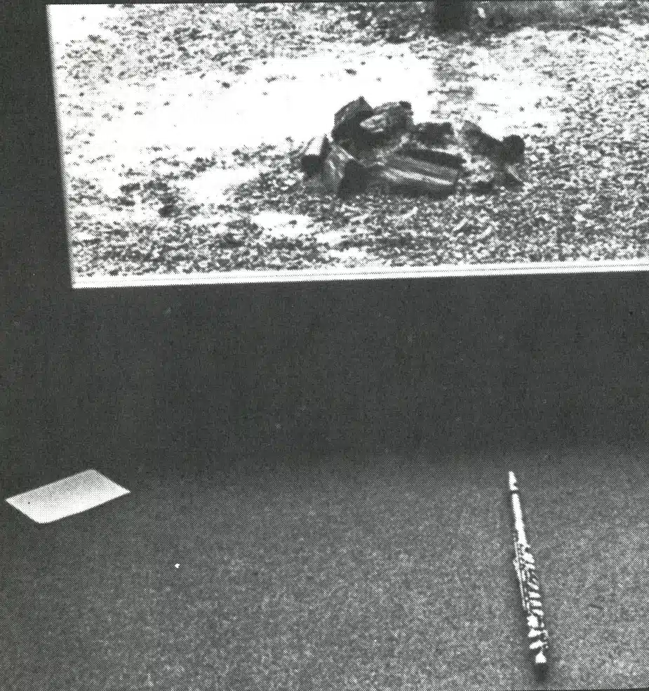 Photos prises pendant les actions organisées en Italie et extraites de Il segno Theatrale Giuseppe Bartolucci et Lorenzo Cappellini Ed. Electa Editrice