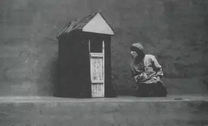 La maison timide