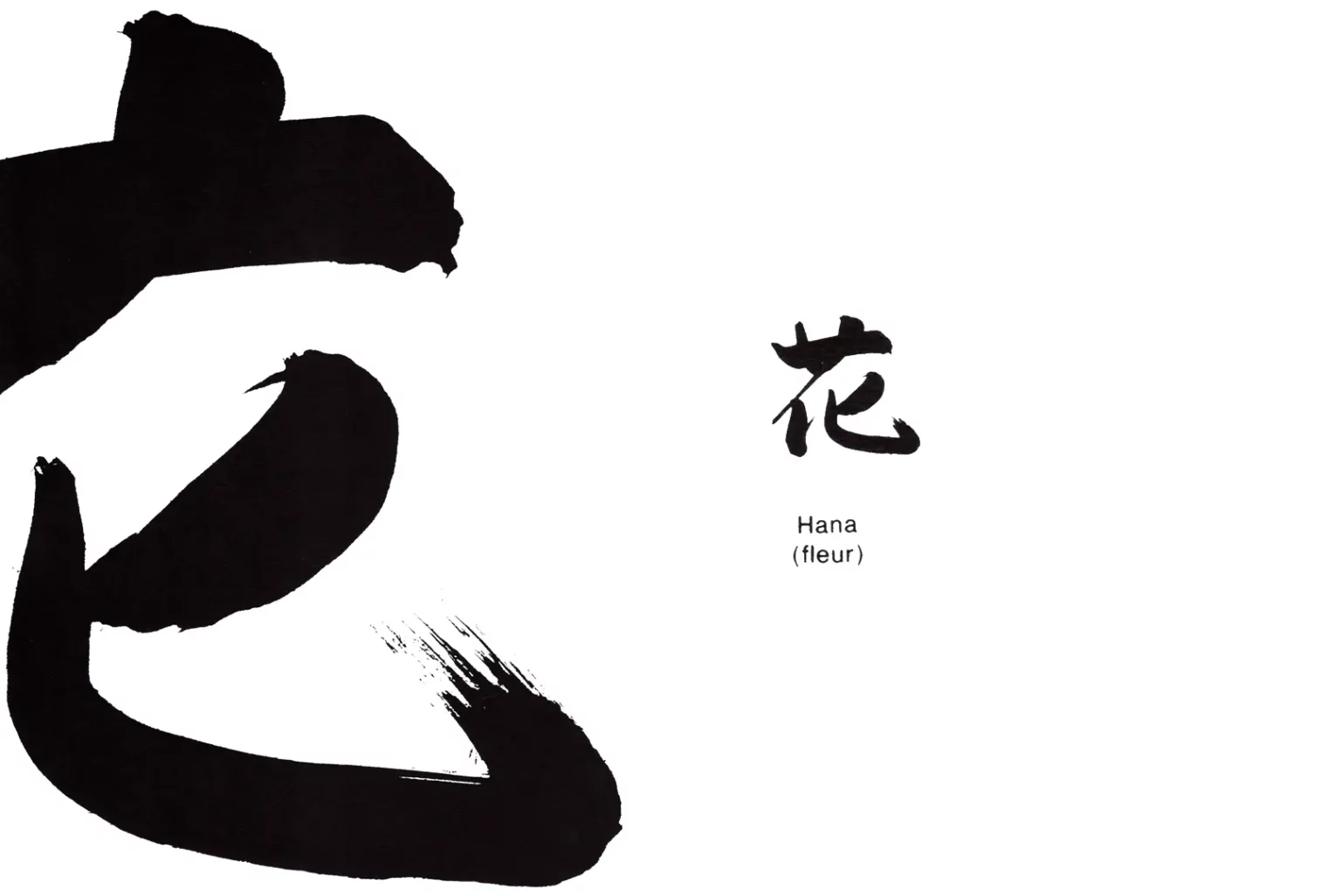 Hana - Fleur
