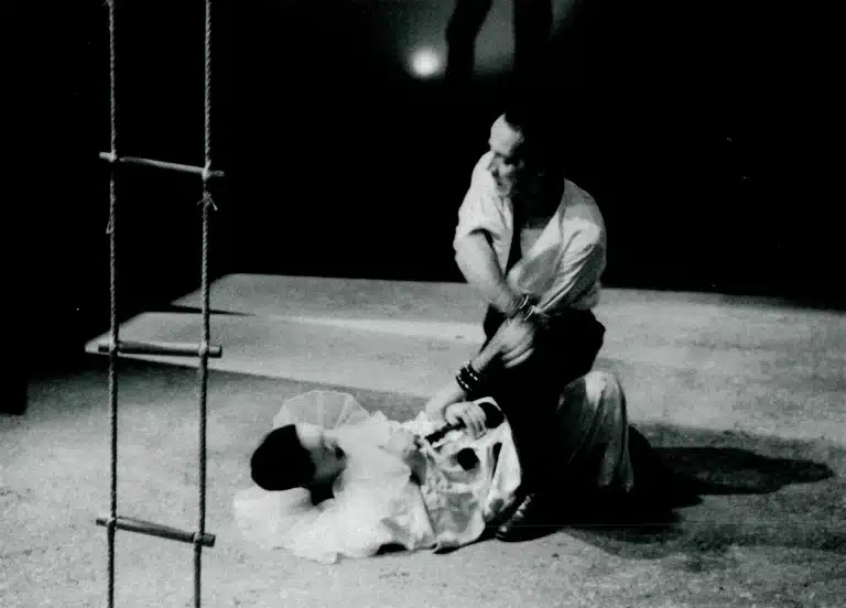 LE PUBLIC, de F.G. Lorca.