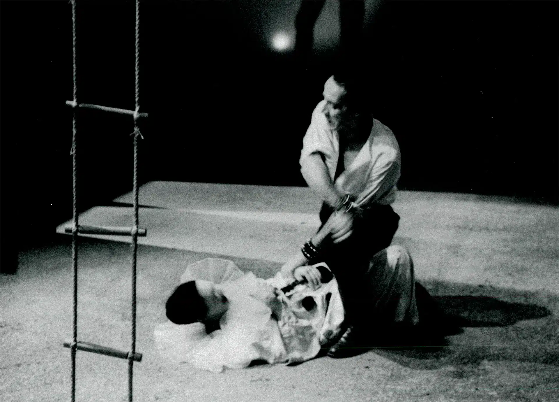 LE PUBLIC, de F.G. Lorca.