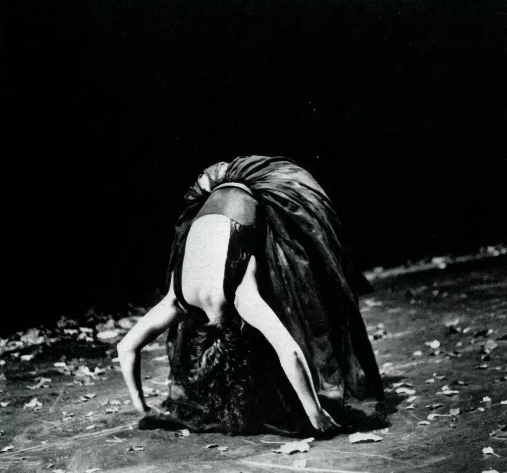 JARDIN D'HIVER, d’Olga Roriz. Photo A. Dugas 