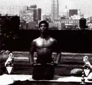 LE DERNIER DRAGON est un film de Berry Gordy. Il est sorti en salles à Paris le 24 juillet 1985. Ce texte avait été proposé aux Cahiers de cinéma, Il n’a jamais été publié.