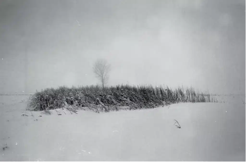 Photo du paysage à partir duquel Josef Nadj a créé LAST LANDSCAPE. - Photo Josef Nadj.
