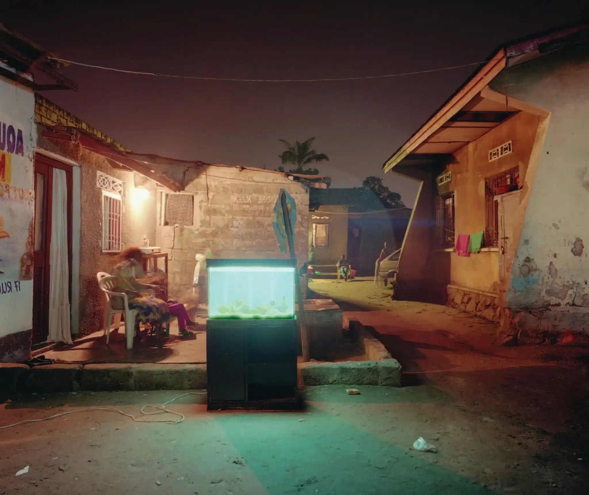 L’aquarium. Photo Marie-Françoise Plissart.