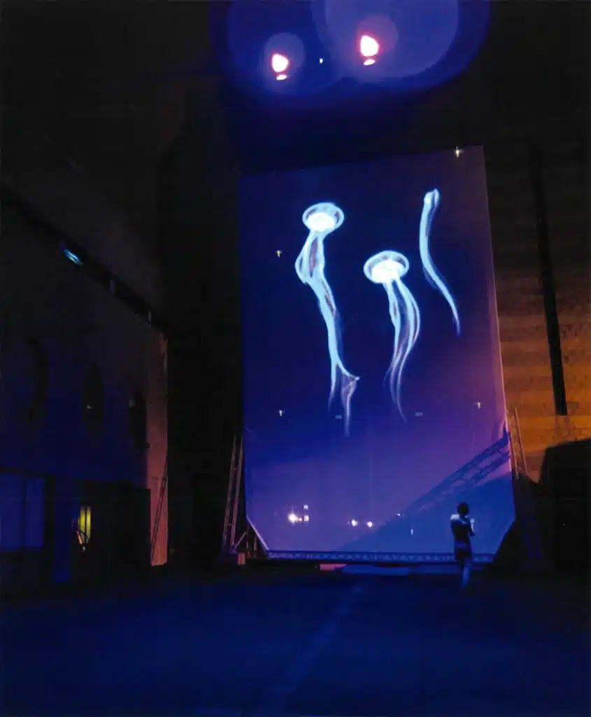 MÉDUSES de Vincent Glowinski (alias Bonom), 2014. Photo D. R.