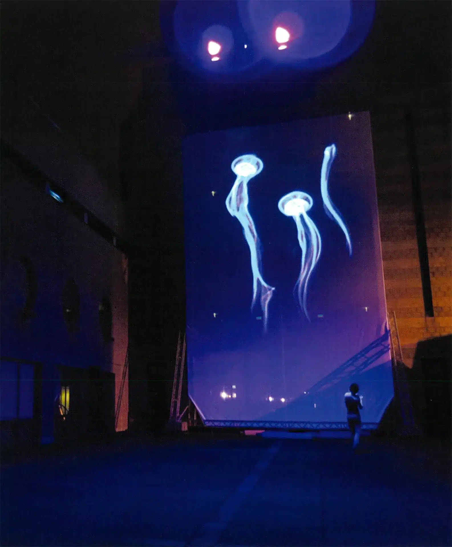 MÉDUSES de Vincent Glowinski (alias Bonom), 2014. Photo D. R.