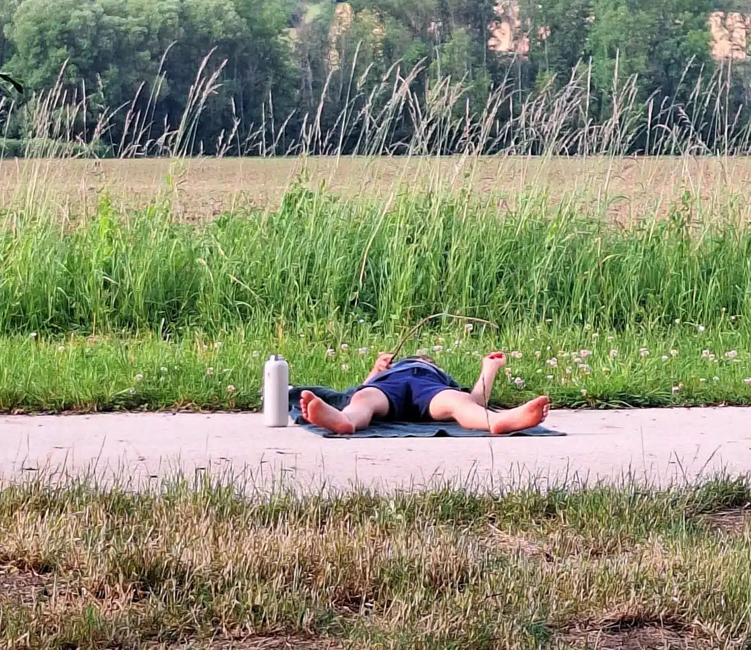 Credit Leyli Daryoush