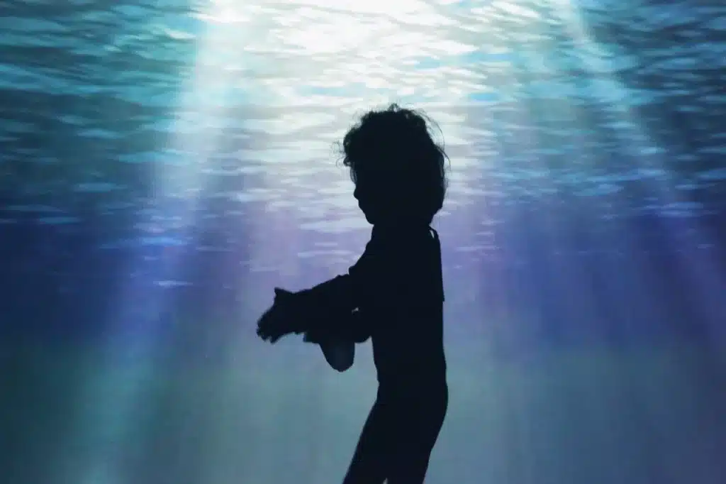 Petit poisson noir, mise en scène de Mohammad Aghebati, d’après Petit Poisson Rouge de Samad Behrangui, 2017, Téhéran, Théâtre Shahrzad ©Mehdi Ashna.