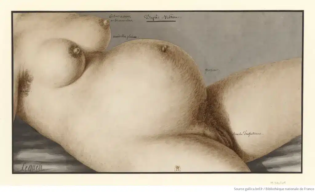 Lequeu, Jean-Jacques (1757-1826), D’après nature [femme enceinte] : [dessin]